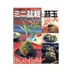 ミニ盆栽と苔玉