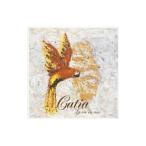 Yahoo! Yahoo!ショッピング(ヤフー ショッピング)カチア／ラ・ヴィ・アン・ローズ