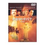 Yahoo! Yahoo!ショッピング(ヤフー ショッピング)DVD／真夜中のサバナ 特別版