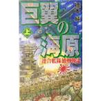 . крыло. море . сверху | Хасимото оригинальный 