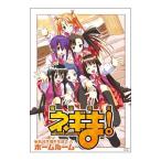 Yahoo! Yahoo!ショッピング(ヤフー ショッピング)DVD／魔法先生ネギま！麻帆良学園中等部２−Ａ：ホームルーム