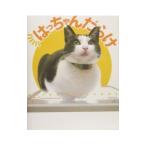 はっちゃんだらけ／八二一