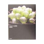 Yahoo! Yahoo!ショッピング(ヤフー ショッピング)ひみつの植物／藤田雅矢