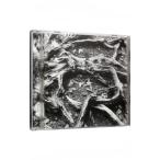 靈氣 Ｈｅａｌｉｎｇ Ｍｕｓｉｃ ｆｏｒ ＲＥＩＫＩ