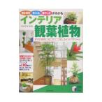 インテリア観葉植物／平田幸彦
