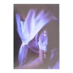 記憶／新津保建秀