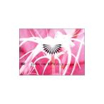 DVD／Ｂ．Ｐ．Ｖ．ＶＯＬ．２（１９９９〜２００３）