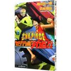  One-piece -THE MOVIE механизм замок. механизм ..-| хвост рисовое поле . один .