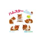 Yahoo! Yahoo!ショッピング(ヤフー ショッピング)ハムスターの１にち／立松光好