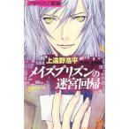 meizplizn. .. раз .| сверху ... flat 