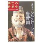 興亡の世界史 05／森安孝夫
