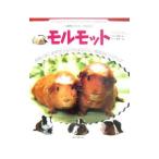モルモット/すずき莉萌