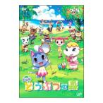 DVD／どうぶつの森