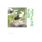 コウノトリのすむ里／神戸新聞社