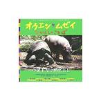 オウエンとムゼイ／ＨａｔｋｏｆｆＩｓａｂｅｌｌａ