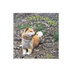 花の島の暖吉／杣田美野里