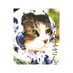 でぶねこめんまさん／ｓａｔｏ