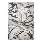 戦国ＢＡＳＡＲＡ２英雄外伝ＨＥＲＯＥＳオフィシャルコンプリートワークス