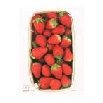 ＣＨＩＡＫＩ’ＳいちごＢＯＯＫ／千秋