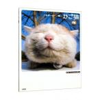 かご猫／Ｓｈｉｒｏｎｅｋｏ