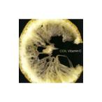ＣＯＩＬ／Ｖｉｔａｍｉｎ Ｃ