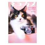 Yahoo! Yahoo!ショッピング(ヤフー ショッピング)ネコカメ／板東寛司