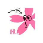 Yahoo! Yahoo!ショッピング(ヤフー ショッピング)ＩＨＬ／サクラの花びら咲きだす頃