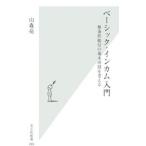 ベーシック・インカム入門−無条件給付の基本所得を考える−／山森亮