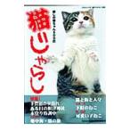 猫じゃらし／ＧＯＧＯネコ画像制作委員会