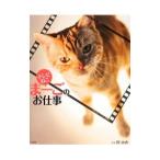 Yahoo! Yahoo!ショッピング(ヤフー ショッピング)テレビねこ まーごのお仕事／関由香【撮影】