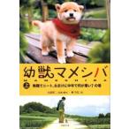 ..mamesiba сверху |. снег цветок 