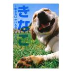 Yahoo! Yahoo!ショッピング(ヤフー ショッピング)きなこ／百瀬しのぶ