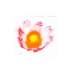 Yahoo! Yahoo!ショッピング(ヤフー ショッピング)馬場俊英／明日に咲く花