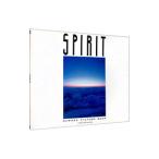 スピリット−Ｎｅｗａｇｅ ｐｉｃｔｕｒｅ ｂｏｏｋ