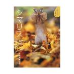 シマリス/竹田津実