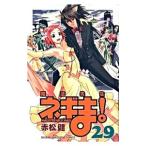魔法先生ネギま！ 29／赤松健
