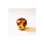 Ａｎｃｈｏｒｓｏｎｇ／Ｔｈｅ Ｌｏｓｔ＆Ｆｏｕｎｄ ＥＰ