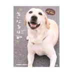 ki.. день мир | круг черепаха полиция собака тренировка место 