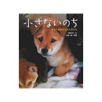 Yahoo! Yahoo!ショッピング(ヤフー ショッピング)小さないのち／今西乃子