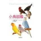 小鳥図鑑／島森尚子
