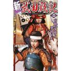 新武田戦記(2)−宿敵・家康を撃砕せよ−／河丸裕次郎