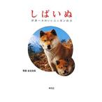 Yahoo! Yahoo!ショッピング(ヤフー ショッピング)しばいぬ／岩合光昭