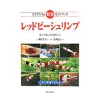 レッドビーシュリンプ／藤田千草