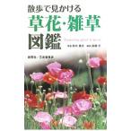 散歩で見かける草花・雑草図鑑／鈴木庸夫
