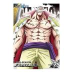 DVD／ＯＮＥ ＰＩＥＣＥ ワンピース〜１４ｔｈシーズン マリンフォード編 ｐｉｅｃｅ．２