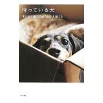 待っている犬（ドックウッド）