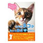 これでネコがもっと喜ぶ／ネコマニア・ラボ