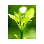 Yahoo! Yahoo!ショッピング(ヤフー ショッピング)いっしょだよ／小寺卓矢