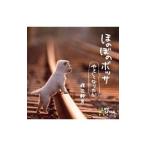 渡辺幹男／ほのぼのボッサ〜やさしくなりたい