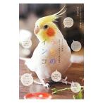 Yahoo! Yahoo!ショッピング(ヤフー ショッピング)うちのインコ／誠文堂新光社